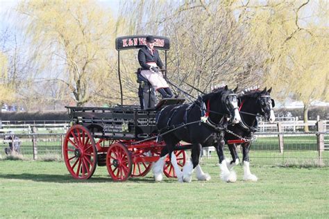 shire horse show 2023|newark showground events 2023.